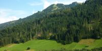 Appartement Tirol Oostenrijk m