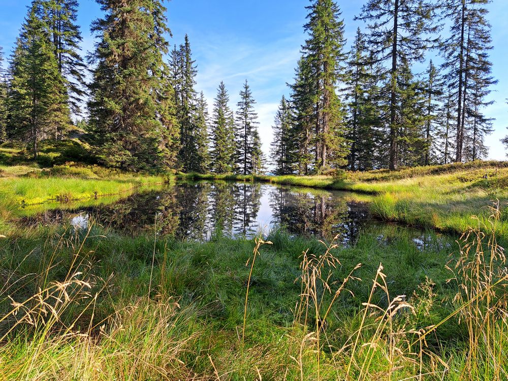 Zimmer Wanderurlaub Wildschönau